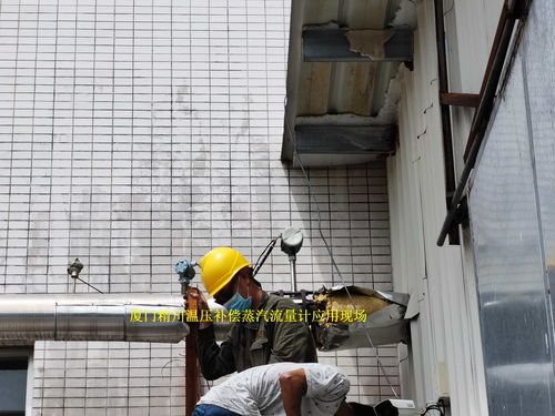 專業(yè)之選 為何眾多食品廠在蒸汽流量計(jì)采購(gòu)中青睞廈門精川？